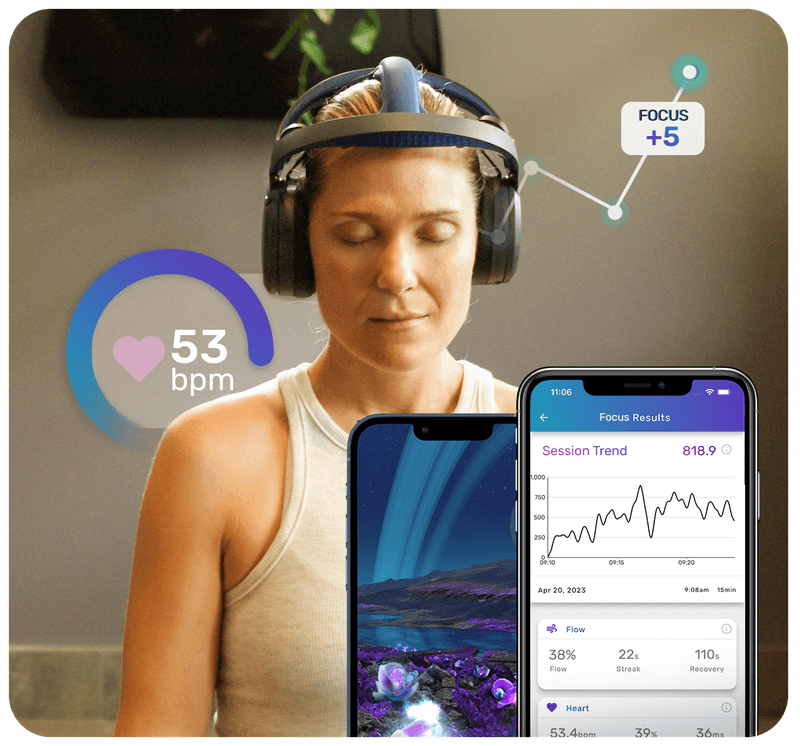 brain training system