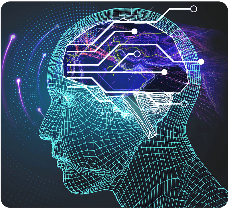 neuroplasticity change